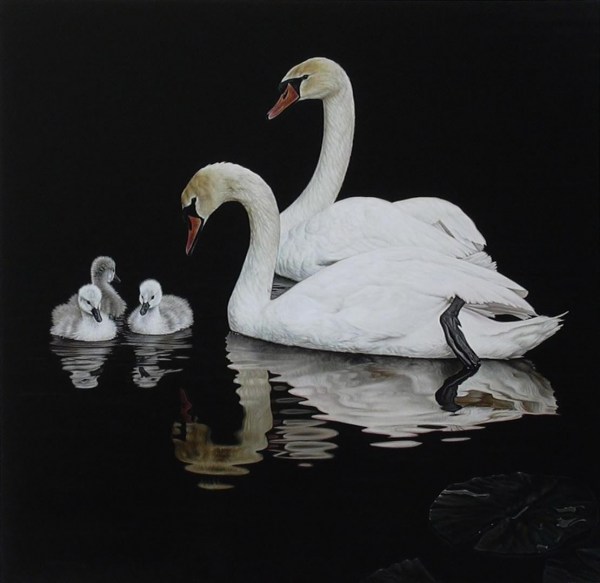 Swan Family 22.5" x 30"
